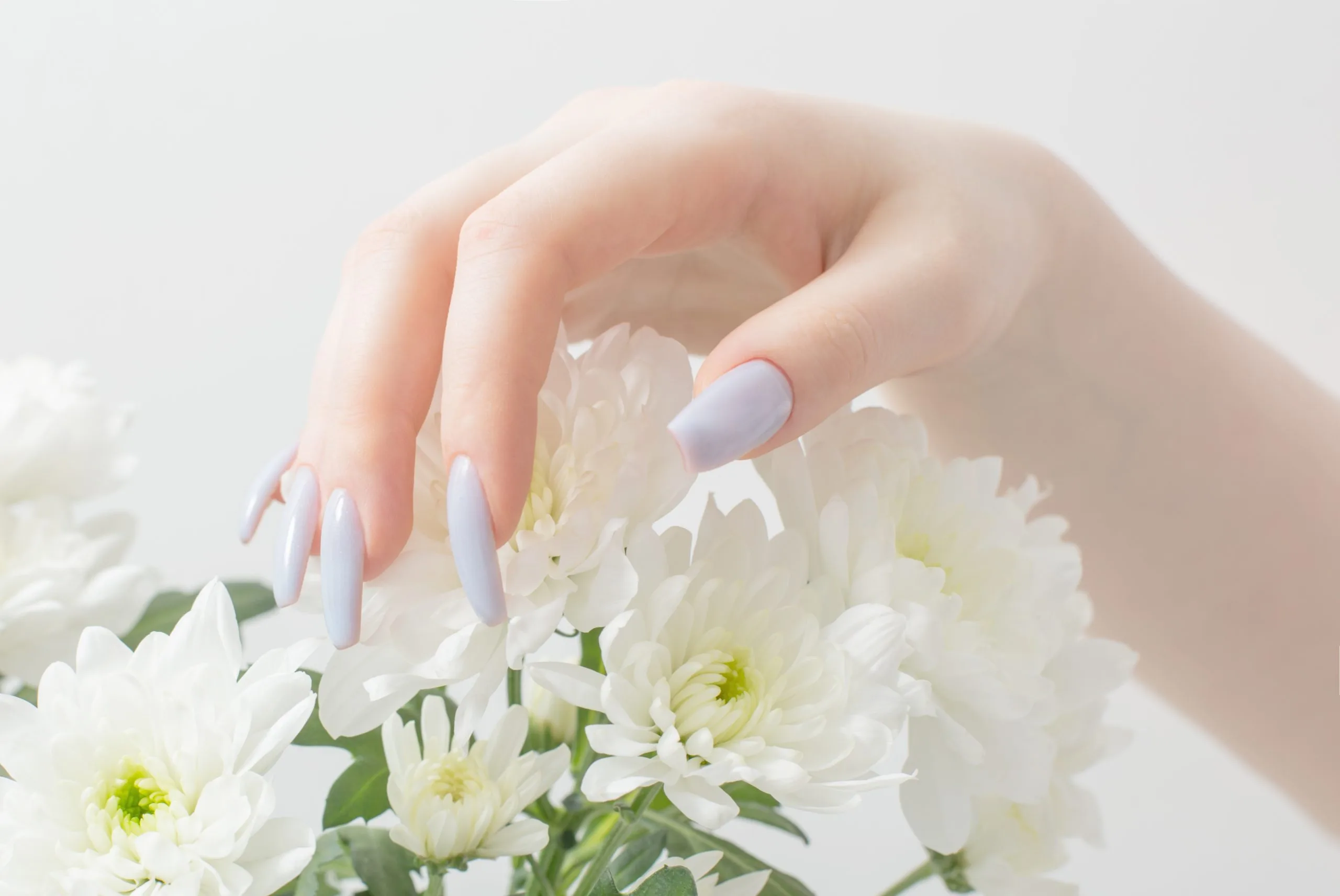 Nail gallery